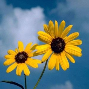 Meet your Poshers, Erin and Peyton!